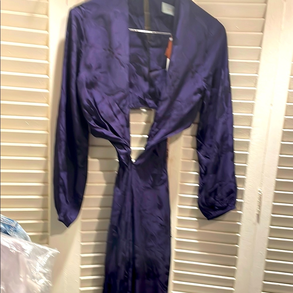 Silvia Tcherassi Rich Purple Dress